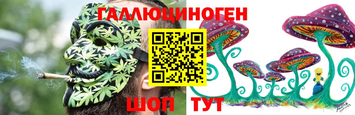 Арсеньев  Псилоцибиновые грибы MAGIC MUSHROOMS  Вход с VPN 